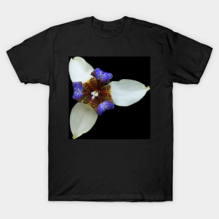 Orchid, Ciudad Colon, Costa Rica T-Shirt